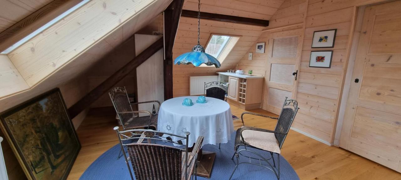Apartman Dobra Voda Toužim 外观 照片